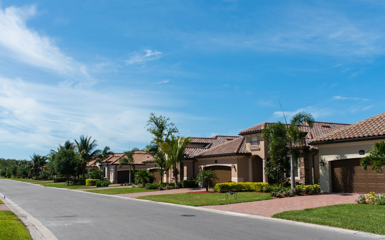 Aydins Garden City Tree-Lined Residential Avenue