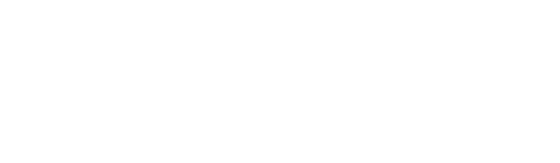 Aydins Realty